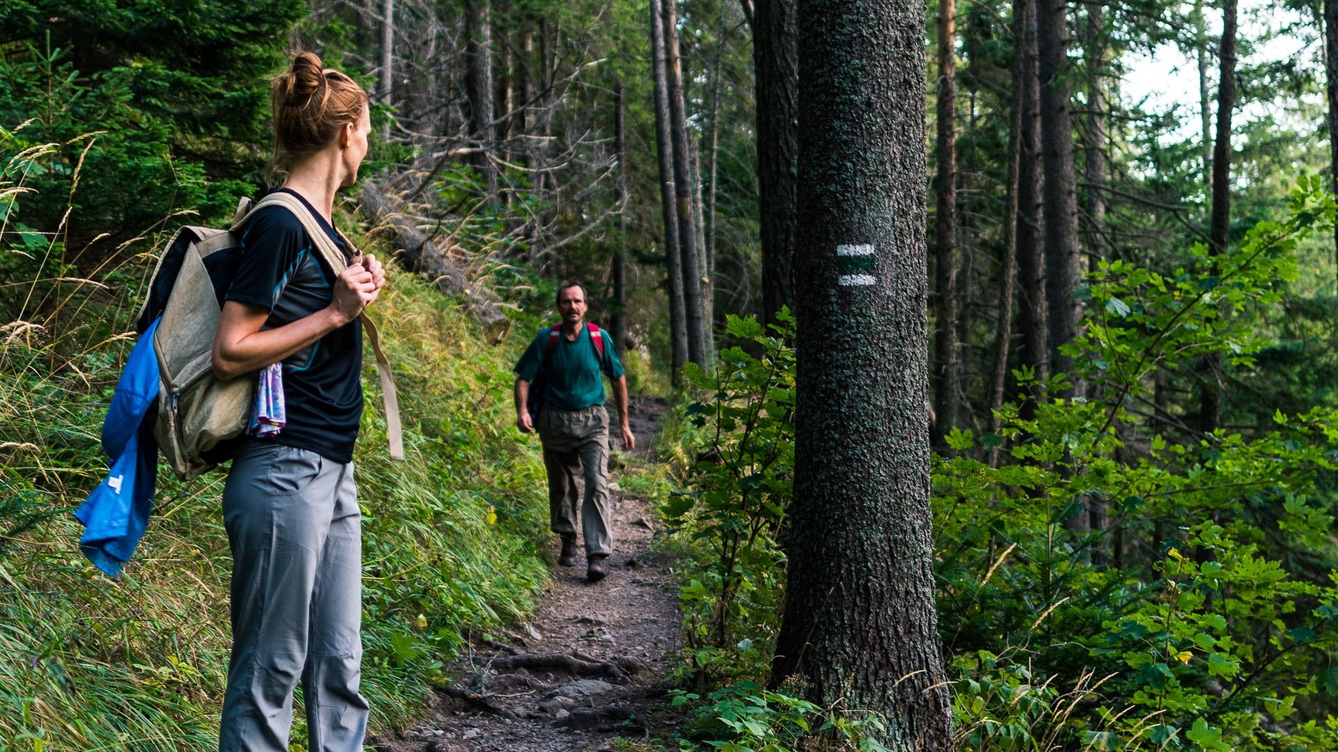 Hiking Store 1 Hiking Store -Hiking Store Green and Beige Minimalist Skincare Product Presentation 1