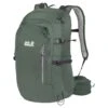 Backpack Jack Wolfskin Athmos Shape 29L